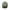 USPA Beanie-Travis Mathew