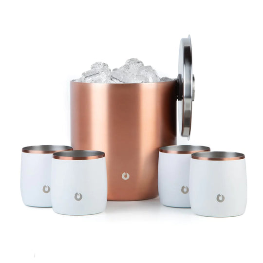 SNOWFOX Stainless Steel Ice Bucket with Rocks Glass Set