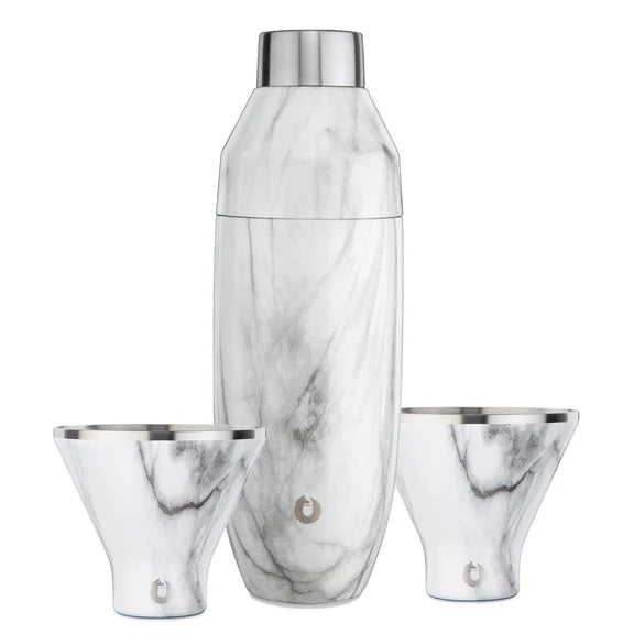 SNOWFOX Stainless Steel Cocktail Shaker and Martini Glass Barware Set