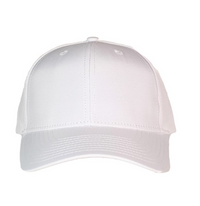 Style Driver 6 Panel Partner Hat