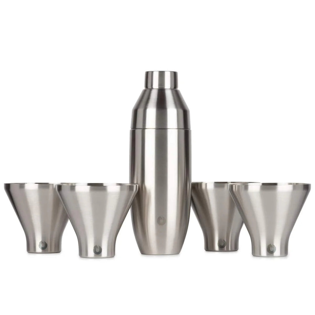 SNOWFOX Stainless Steel Cocktail Shaker and Martini Glass Set