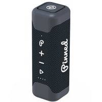 Pinned Sound Stick Speaker